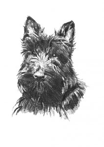  alkotó: Kulik