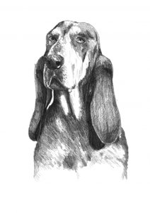  alkotó: Kulik