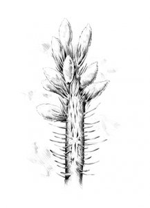  alkotó: Kulik