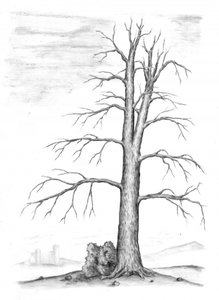  alkotó: Kulik