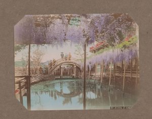 Emberek egy hídon, az előtérben virágzó wisteria, Kameido, Tokió, Japán alkotó: Kusakabe Kimbei