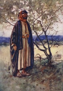 Egyiptom népe: Bedawi (színes lithó) alkotó: Lance Thackeray