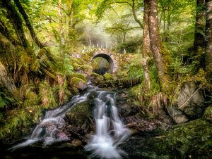 A Varázserdő patakán átívelő híd alkotó: Lars van de Goor †