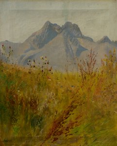 Lomnici-csúcs alkotó: Laszlo Mednyanszky