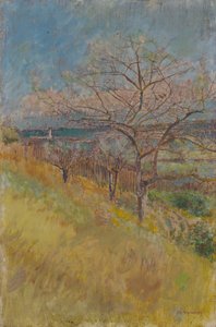 Völgy virágzó fákkal, 1890-1900 alkotó: Laszlo Mednyanszky