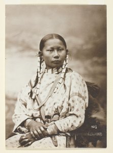 Foltos Fawn, Cheyenne menyasszony