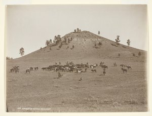 Dolgozni egy kis csomót a dombok között, c. 1900.