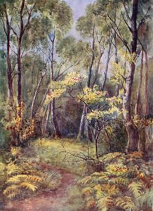 Leigh Woodsban