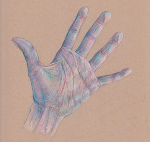 Hand Study #3, 2025 (színes ceruza, tónusos papír)