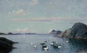Déli part tengeri madarakkal alkotó: Lauritz Haaland