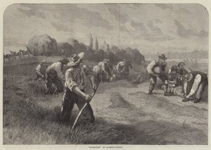 Haymakers alkotó: Lawrence Duncan