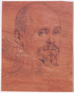 Férfi portré