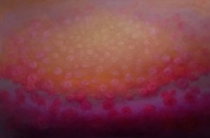  alkotó: Lee Campbell