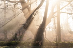 Beautiful Beams, 2025 (fotó)