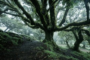 Forgotten Land II, 2025 (fotó)