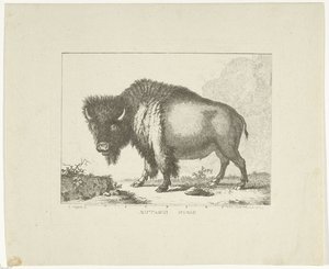 Bölény alkotó: Leendert Brasser