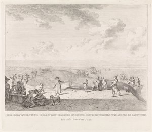 Finom bálna a zandvoorti tengerparton A Wyk aan Zee és Zandvoord között rekedt Vin-Vis (...) képe, 1791. november 18. (cím az objektumon)