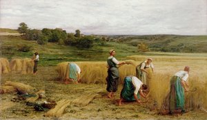 Szüret, 1874