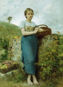A szőlőszedő, 1895