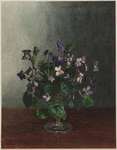 Ibolyacsokor alkotó: Léon Bonvin