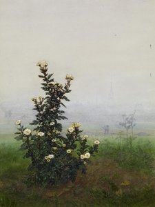 Őszi margitvirág táj előtt, Issy-les-Moulineaux (?) alkotó: Léon Bonvin