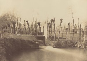 Tájkép, Montebello,c. 1860 (fotó) alkotó: Léon Gérard