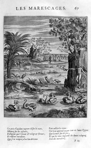 Marsh, 1615 alkotó: Leonard Gaultier