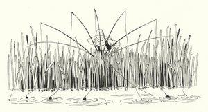 Első sorok mutatója (metszet) alkotó: Leonard Leslie Brooke