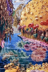 Illusztráció a „Sea-Shore Life in Britain” című könyvből, 1947-ben nyomtatva (színes litó)