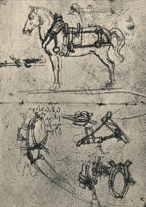 A Harnessed Cart-Horse and Studies of Harness, c1480 1945 alkotó: Leonardo da Vinci