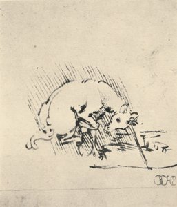Egy unikornis, aki a szarvát a vízbe mártja, c1480 1945 alkotó: Leonardo da Vinci