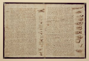 Egy oldal a Codex Leicesterből, 1508-12 (szépia tinta vászonpapíron) alkotó: Leonardo da Vinci