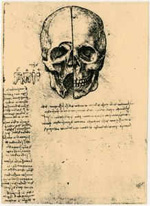 Egy emberi koponya anatómiai vázlata, c1472-1519 alkotó: Leonardo da Vinci
