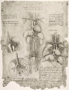 Anatomiestudien alkotó: Leonardo da Vinci