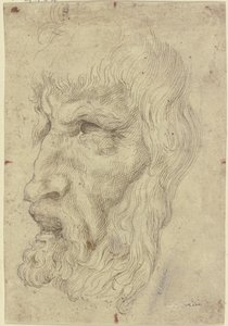 Antik maszkok bal oldalon alkotó: Leonardo da Vinci