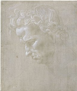 Egy férfi kifejező feje profilból alkotó: Leonardo da Vinci
