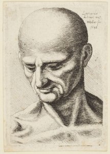 A kopasz férfi alkotó: Leonardo da Vinci