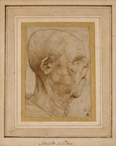 Egy idős férfi fejének karikatúrája, profilban jobbra, 1507 körül alkotó: Leonardo da Vinci
