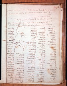 Trivulziano kódex, Leonardo da Vinci (Leonardo da Vinci) (1452-1519) - Trivulziana Könyvtár, Milánó alkotó: Leonardo da Vinci