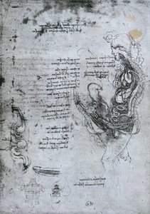 Félbevágott férfi és nő összeállítása, fakszimile alkotó: Leonardo da Vinci