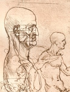 Az emberi alak arányainak elméletét illusztráló rajz, c1472-c1519 1883 alkotó: Leonardo da Vinci