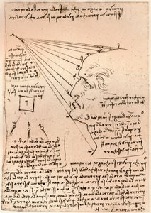 Férfifej rajza, a festészet gyakorlatát illusztrálva, c1472-c1519 1883 alkotó: Leonardo da Vinci