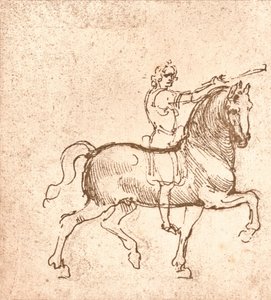 Sétáló ló rajza, c1472-c1519 1883 alkotó: Leonardo da Vinci