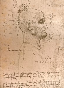 Rajz egy bűnöző fejéről, c1472-c1519 1883 alkotó: Leonardo da Vinci