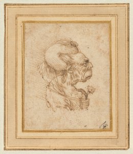 Egy idős asszony groteszk feje alkotó: Leonardo da Vinci