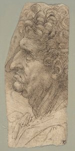 Balra néző férfi profilja alkotó: Leonardo da Vinci