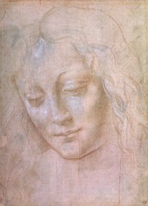 Egy nő feje (gouache-val megerősített fémhegy) alkotó: Leonardo da Vinci