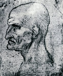 Egy öregember feje, 1913 alkotó: Leonardo da Vinci