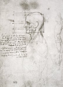 Profilos öregember feje, faxmásolat (toll és tinta papíron) alkotó: Leonardo da Vinci