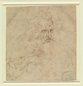 Egy komor tekintetű, ősz hajú férfi feje, jobb karjával alkotó: Leonardo da Vinci